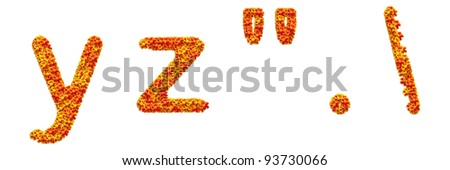 The alphabet flower on white background y z