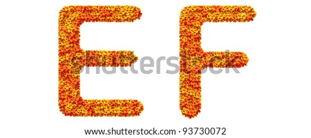 The alphabet flower on white background E F