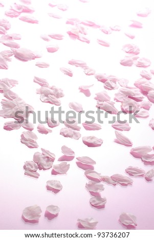 Cherry Blossoms Royalty-Free Stock Photo #93736207