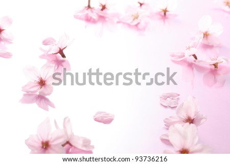 Cherry Blossoms Royalty-Free Stock Photo #93736216