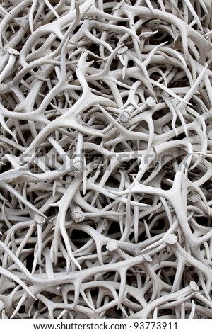 A pile of sun bleached elk antlers for background texture and pattern Royalty-Free Stock Photo #93773911