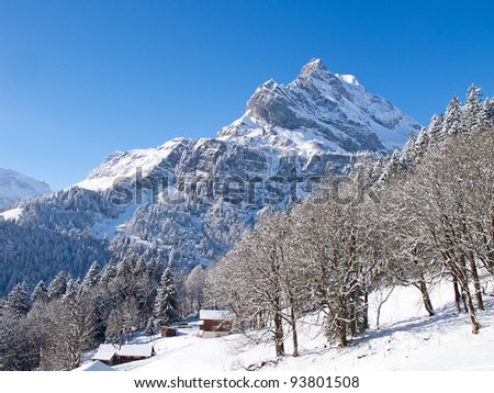 Winter in the swiss alps, Switzerland