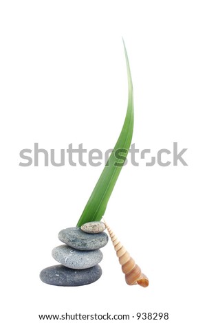 Pebble stack, seashell and palm leaf