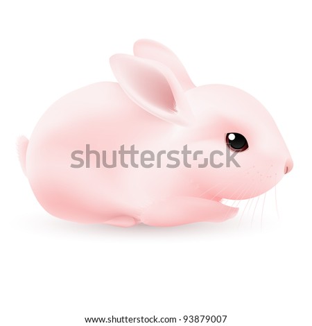 Pink Rabbit. Illustration on white background for design