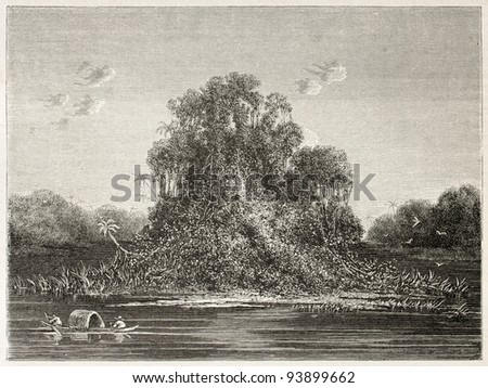 Jutai river confluence into Amazon. Created by Riou, published on Le Tour du Monde, Paris, 1867