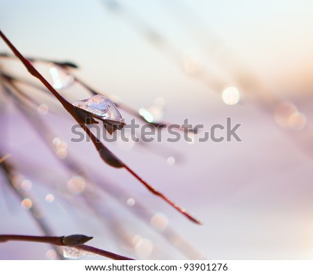 spring background Royalty-Free Stock Photo #93901276