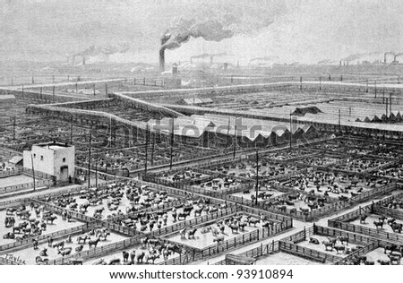 Central slaughterhouse in Chicago. Engraving by Maynar from picture by painter Taylor. Published in magazine "Niva", publishing house A.F. Marx, St. Petersburg, Russia, 1893