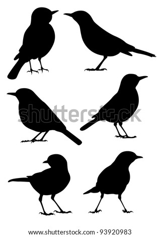 Birds Silhouette - 6 different vector illustrations