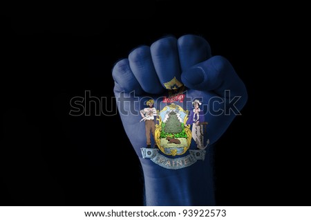 Low key picture of a fist painted in colors of american state flag of maine