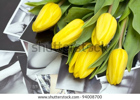 yellow tulips lying on black and white photographs