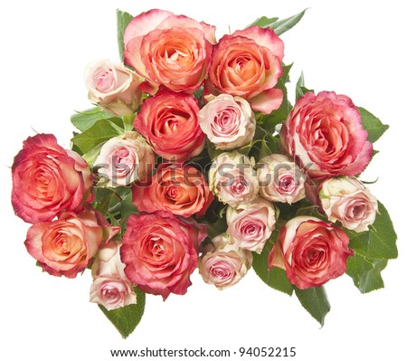 bouquet of pink roses on white