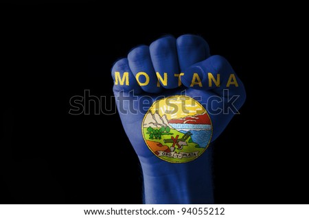 Low key picture of a fist painted in colors of american state flag of missouri