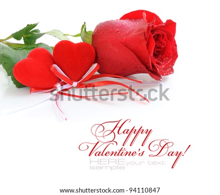 Two velvet hearts are with a red rose on a white background