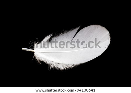 Feather Royalty-Free Stock Photo #94130641