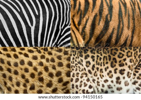 Real animal skin Royalty-Free Stock Photo #94150165