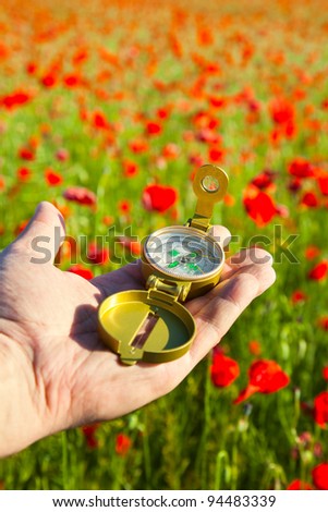 Compass in a Hand / Discovery / Beautiful Day / Red Poppies in Nature