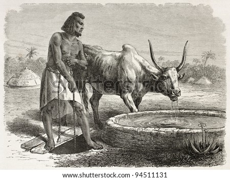 Abyssinian drinking trough old illustration. Created by Bayard after Lejean, published on Le Tour du Monde, Paris, 1867