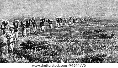 caravan porters in the savannas of East Africa - an illustration from the book "Starting course of Geography", Moscow, 1926