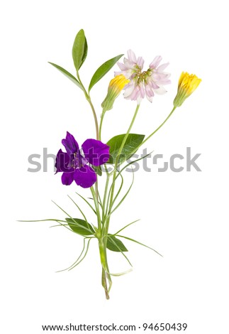 bouquet of the field (wild) flowers, easter colors, isolated Royalty-Free Stock Photo #94650439