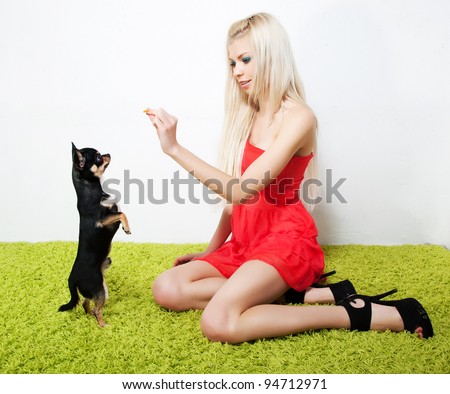 Young elegant pretty woman feeds on little puppy, studio shot