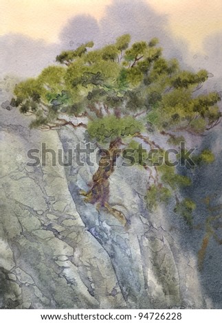 Watercolor landscape. Hardy pine tree growing among rocky cliffs
