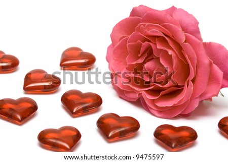 red rose with hearts over white background