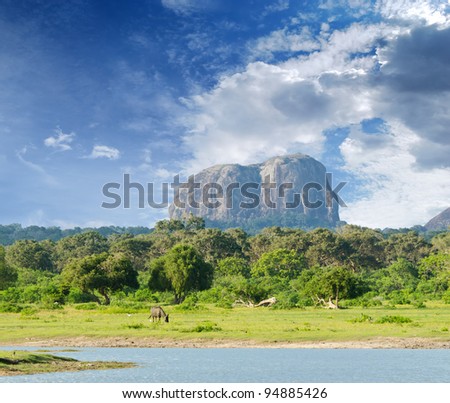 mountain in the shape of an elephant figure in the Yala National Park (Sri Lanka) Royalty-Free Stock Photo #94885426