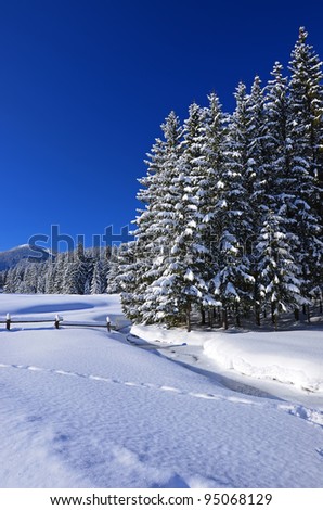 Wooden fence covered in snow in Chocholowska valley during winter season
