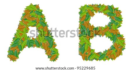 The alphabet leaf on white background A B