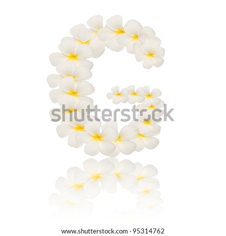 alphabet created from white tropical flower,Frangipani(plumeria) with reflection on white background.
