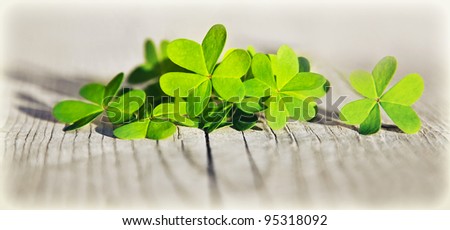 Fresh clover leaves over wooden background, green spring floral border, lucky shamrock, St.Patrick's day holiday symbol