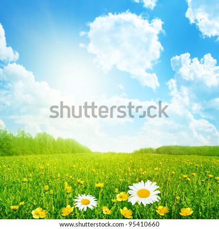 Field of spring flowers and sun on blue sky.