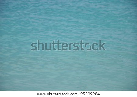 In the open tropical sea