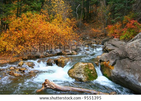 Stream in the autumn showing bright fall colors
