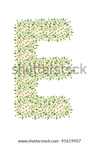 E, daisy flower alphabet isolated on white background