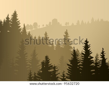 Wild coniferous wood in a morning fog.