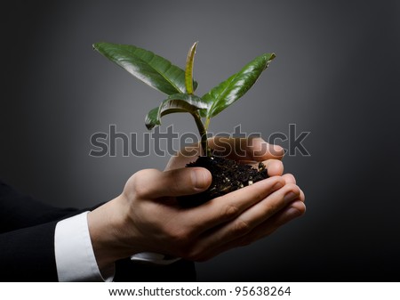  human hands  close  with  rubber plant, business concept