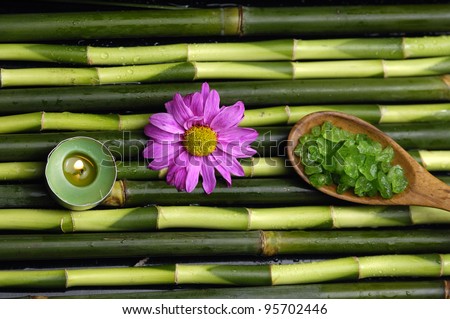 Spa setting with flower and candle on bamboo grove background