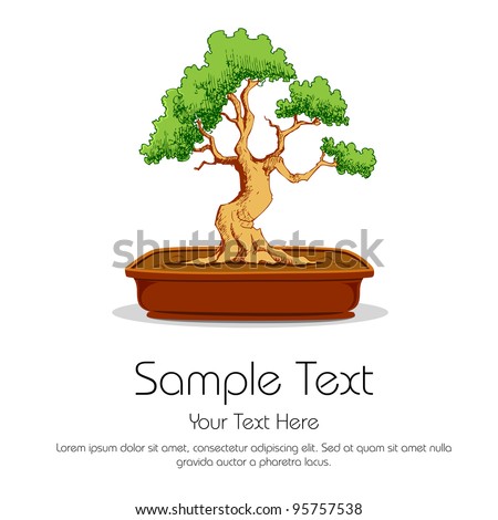 illustration of bonsai tree in earthen pot on white background