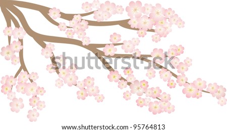 tree sakura