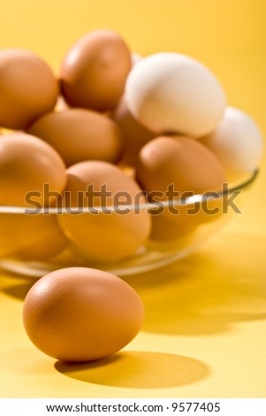 macro picture of brown and white eegs