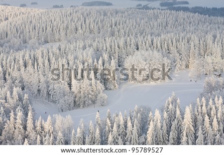 Winter forest with frosty trees and skiers, aerial view. Kuopio, Finland