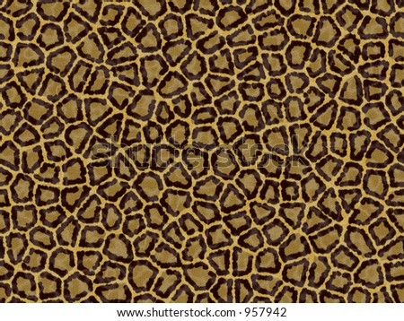 Leopard skin - leopard skin texture