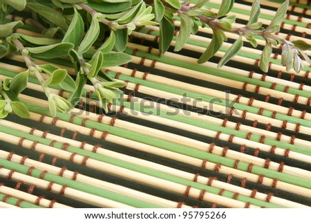 Fresh marjoram herb on a bamboo background, a horizontal picture