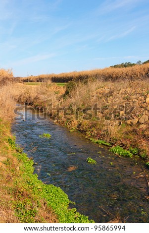 Small river trough woods under blue sky in Portugal