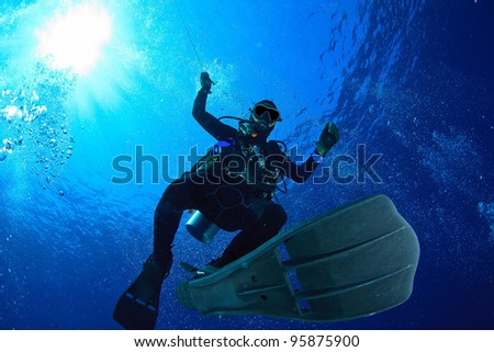 Diver do safety stop underwater Royalty-Free Stock Photo #95875900