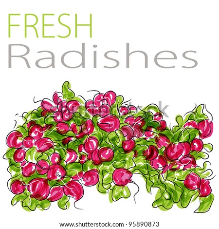 An image of a fresh radishes.