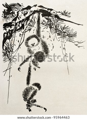 Monkeys among branches, old stylized illustration. Created by Rapine after old Japanese engraving by unknown author, published on Le Tour Du Monde, Ed. Hachette, Paris, 1867