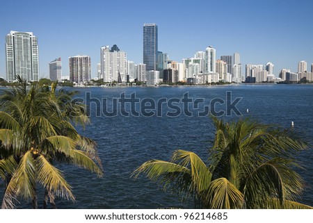 Palms and skyline of Miami, Florida, USA