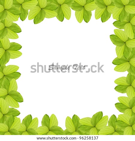 Green leaves border
